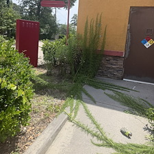 Commercial-Cleanup-Project-in-Conway-SC 10